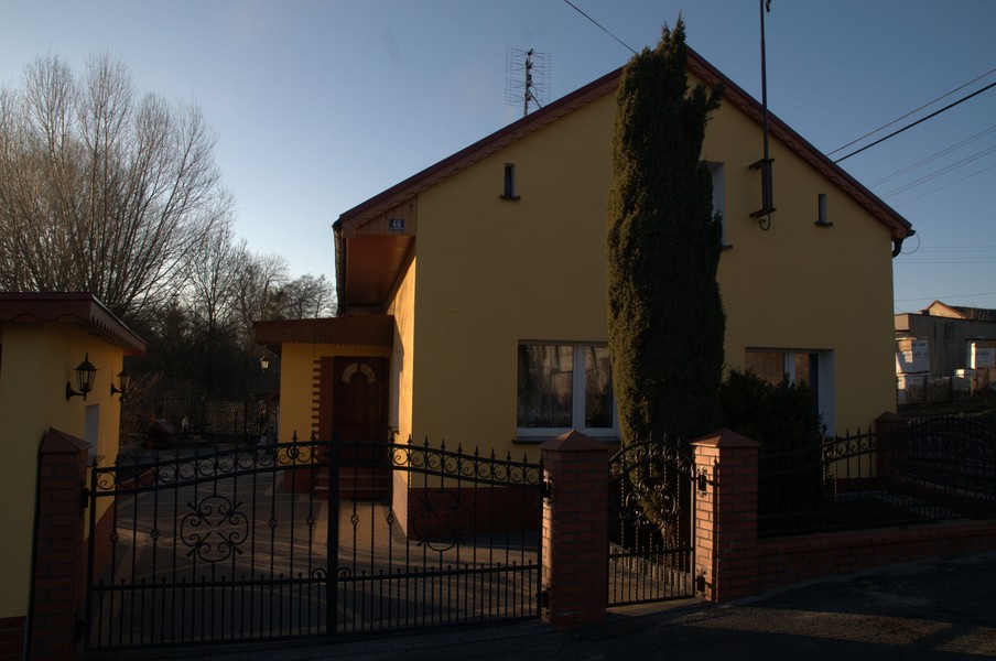 zdjecie