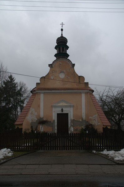 zdjecie
