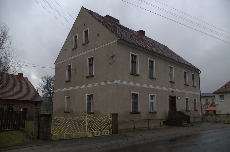 zdjecie