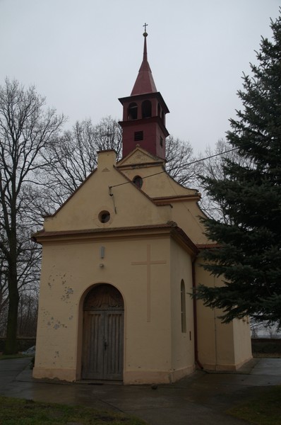 zdjecie