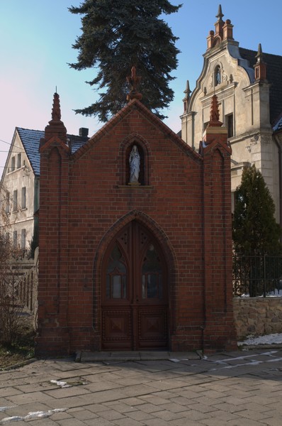 zdjecie