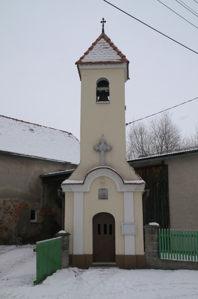 zdjecie