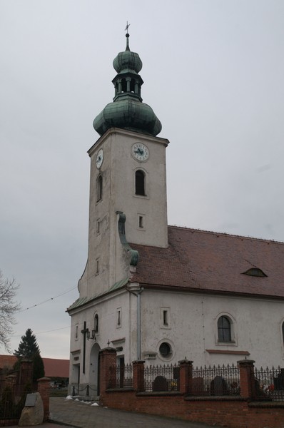 zdjecie