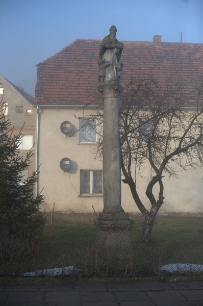 zdjecie