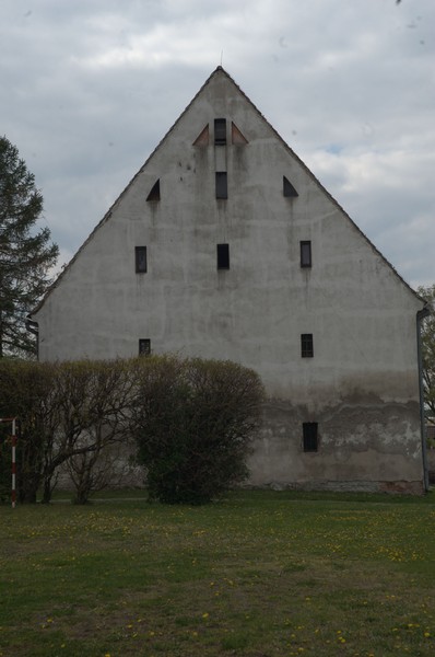 zdjecie