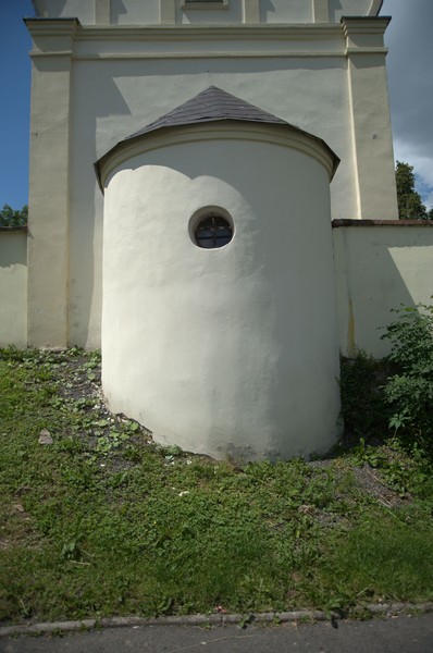 zdjecie