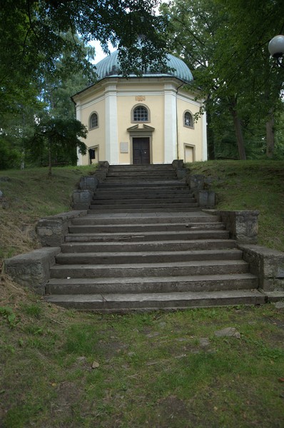 zdjecie