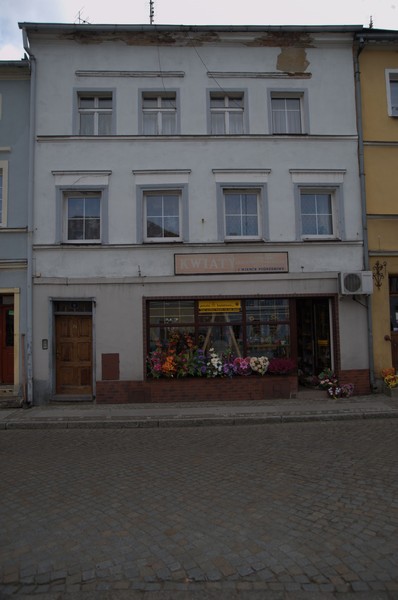 zdjecie