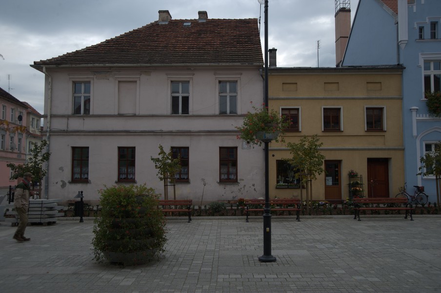 zdjecie