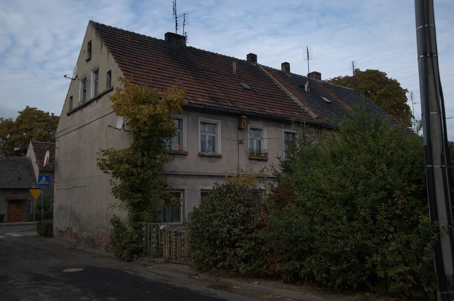 zdjecie