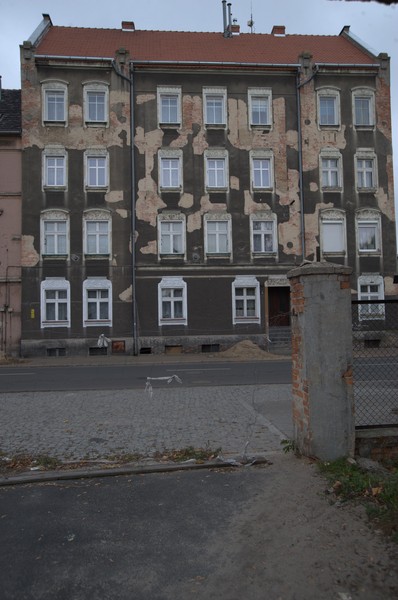 zdjecie