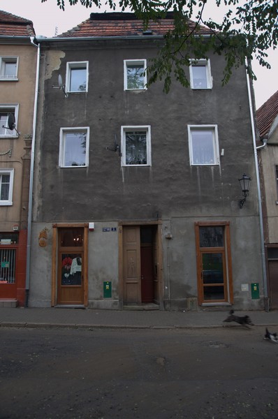 zdjecie
