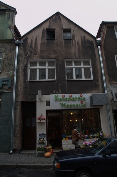 zdjecie