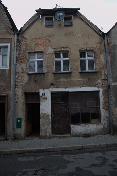 zdjecie