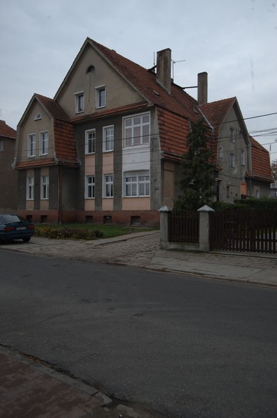zdjecie