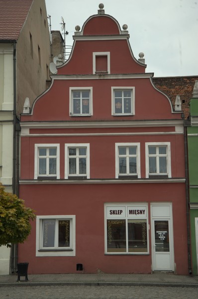 zdjecie