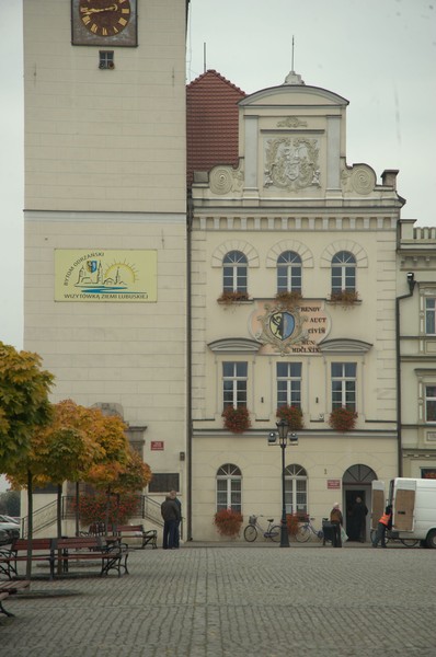 zdjecie