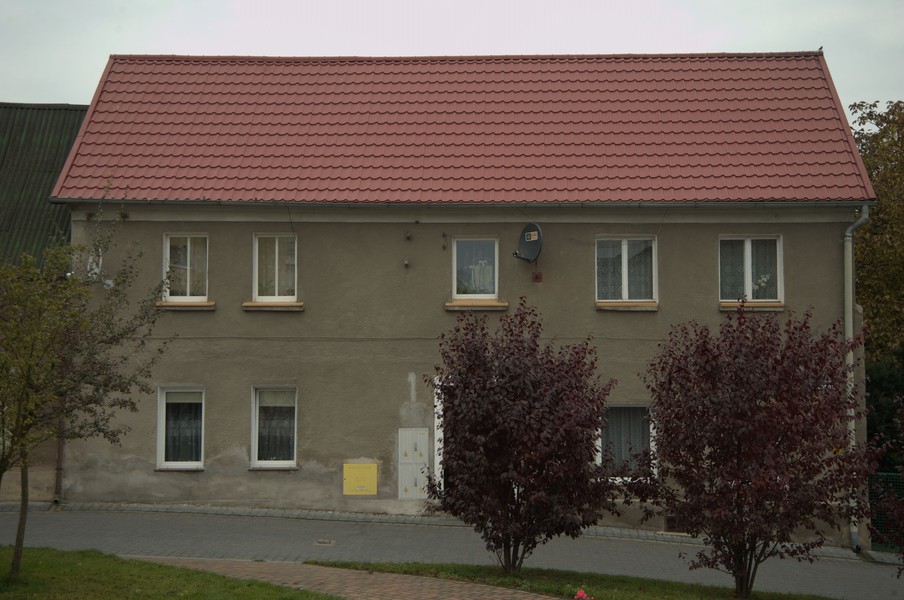zdjecie
