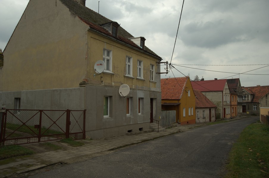 zdjecie