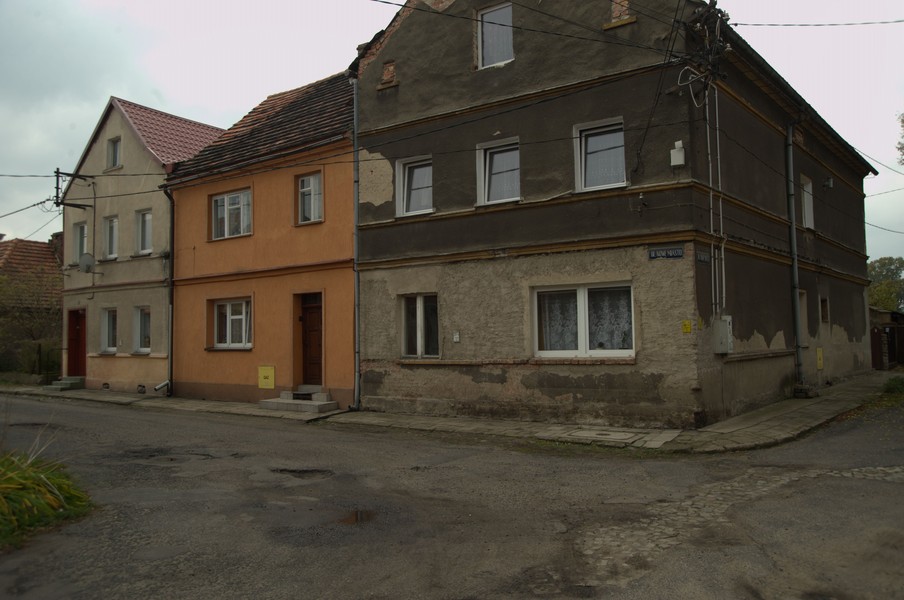 zdjecie