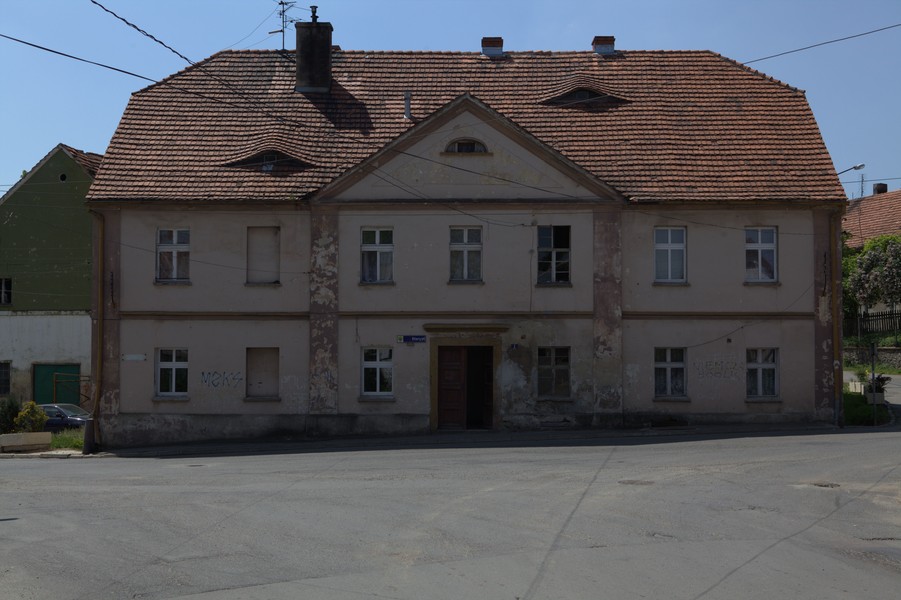 zdjecie