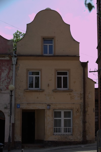 zdjecie