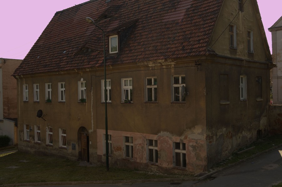 zdjecie