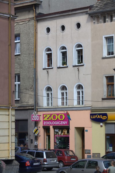 zdjecie