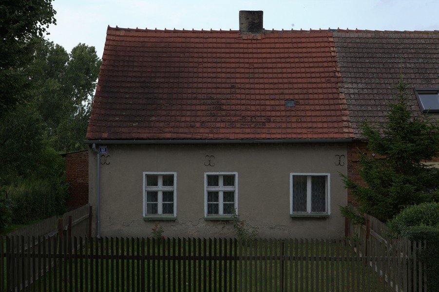zdjecie