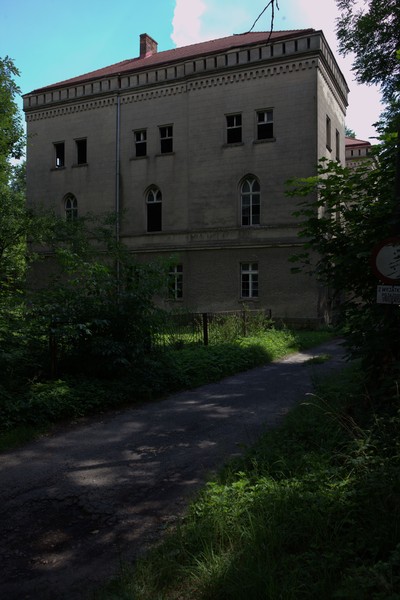 zdjecie