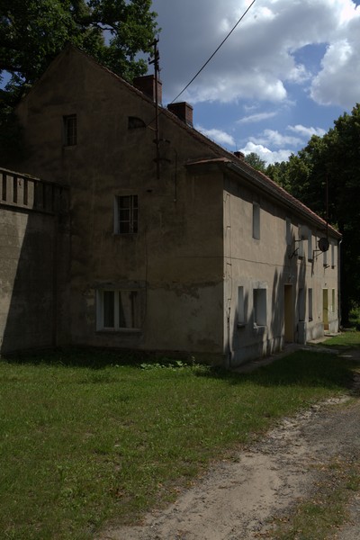 zdjecie