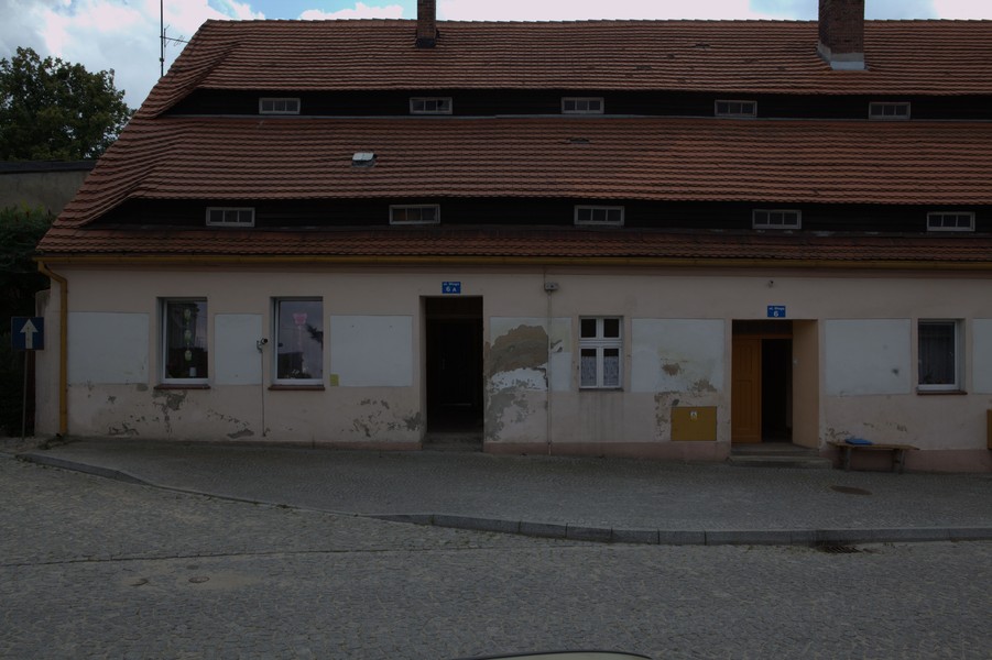 zdjecie