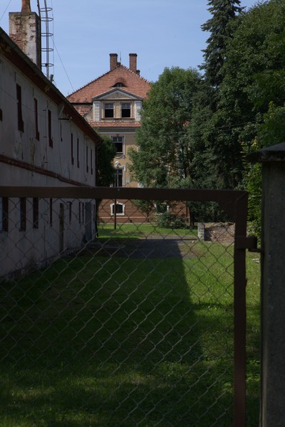 zdjecie