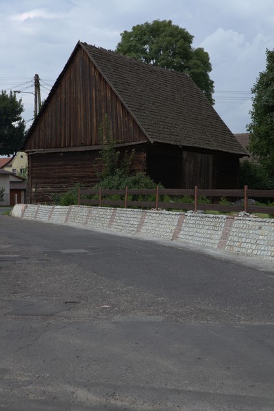 zdjecie