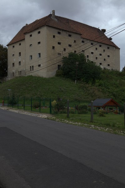 zdjecie