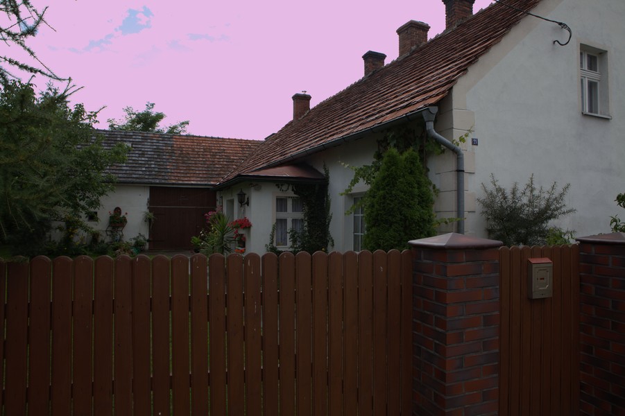 zdjecie