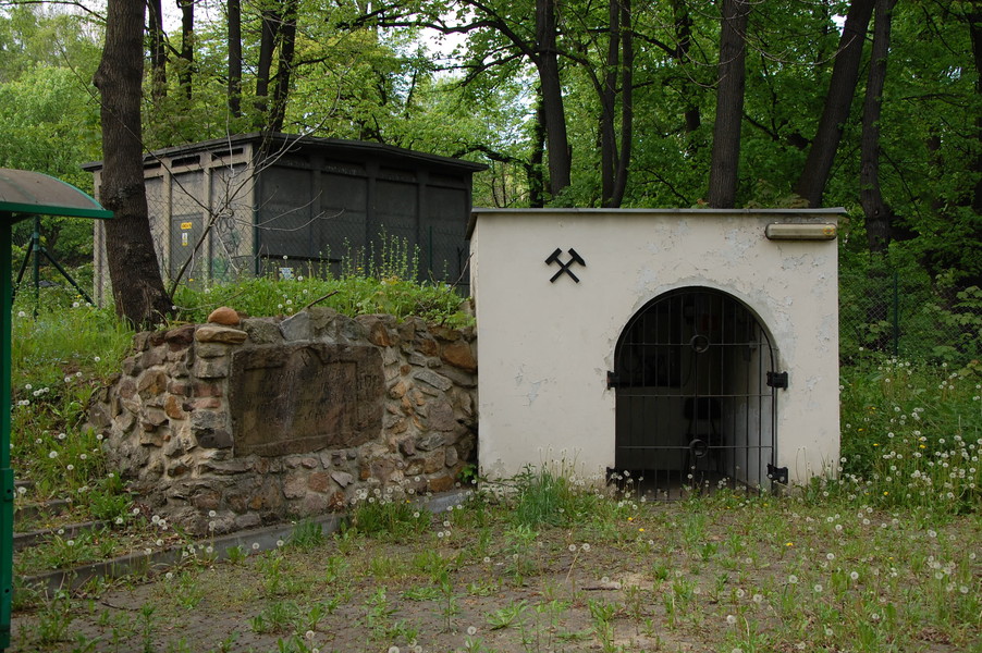 zdjecie