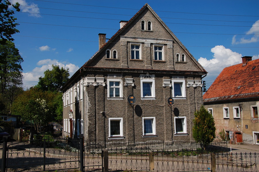 zdjecie