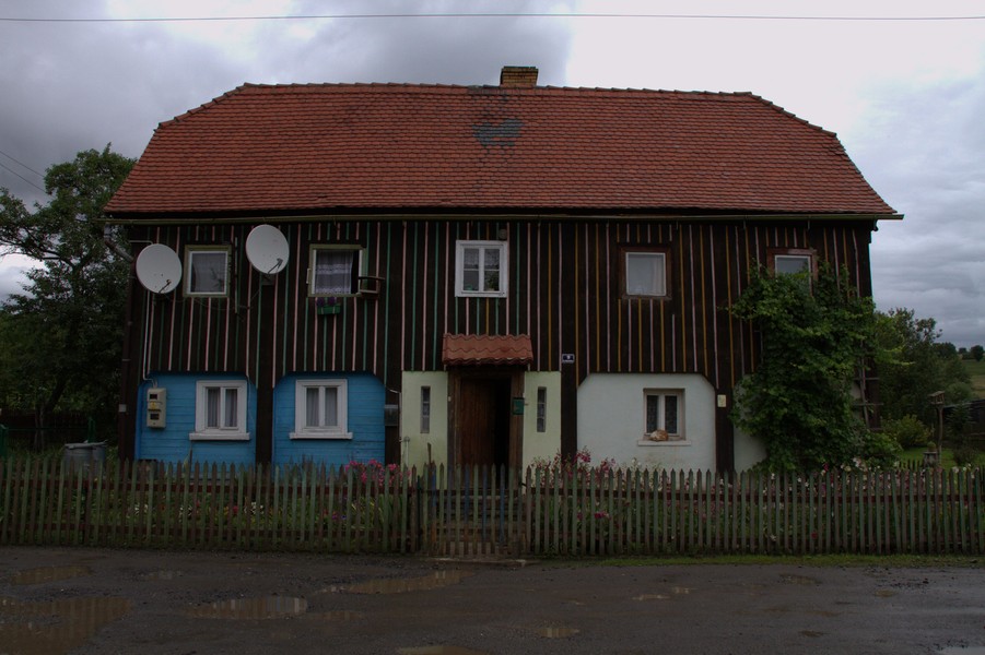 zdjecie