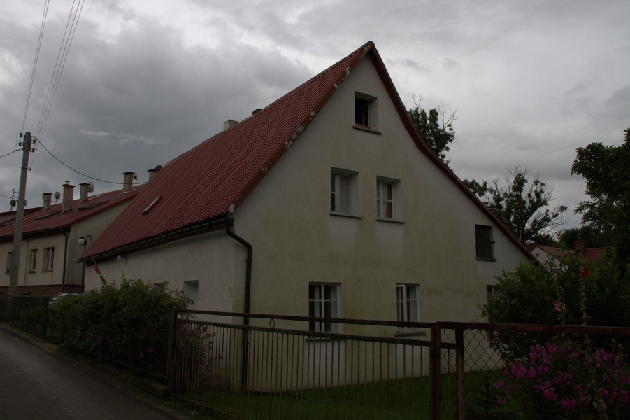 zdjecie