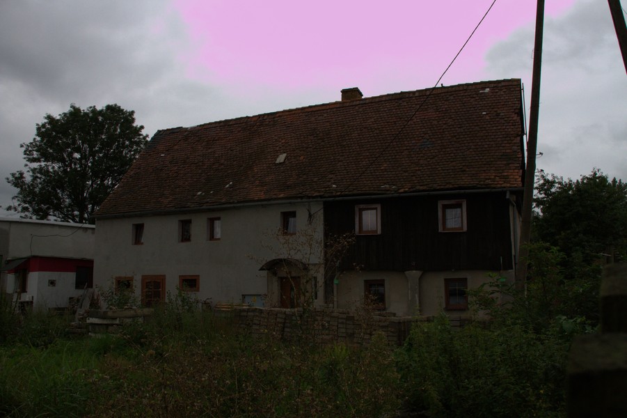 zdjecie