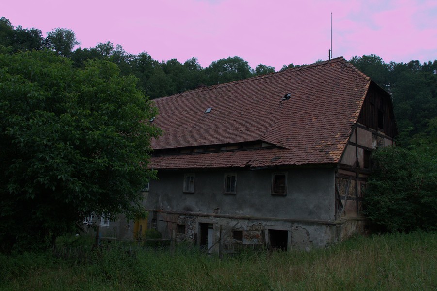 zdjecie