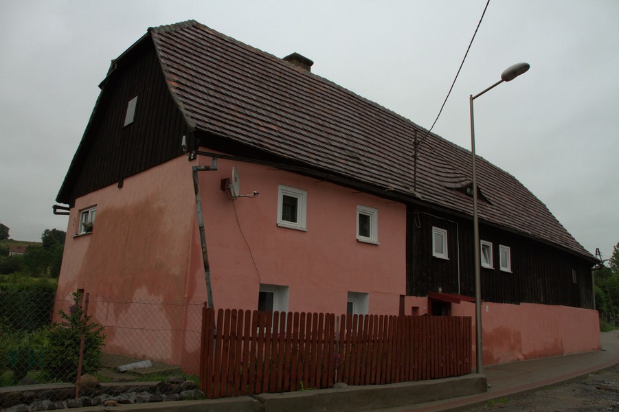 zdjecie