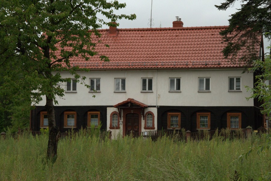 zdjecie