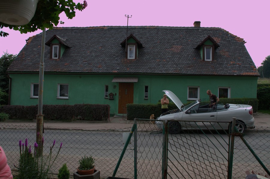zdjecie