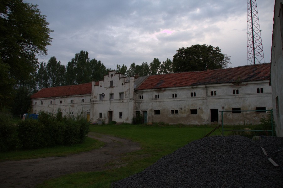 zdjecie