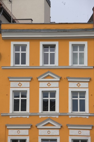zdjecie