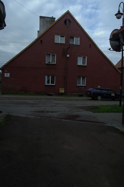 zdjecie