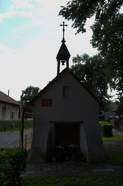 zdjecie