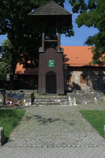 zdjecie